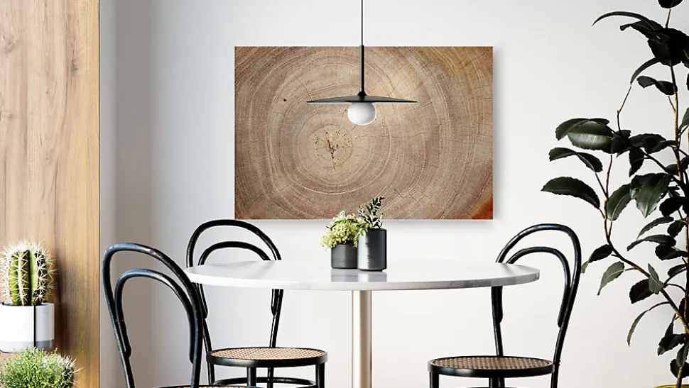 Tableau Magnétique en Métal Motif Tronc Cernes de Bois 90x60cm, MetalBoards pour tout type d'Aimants