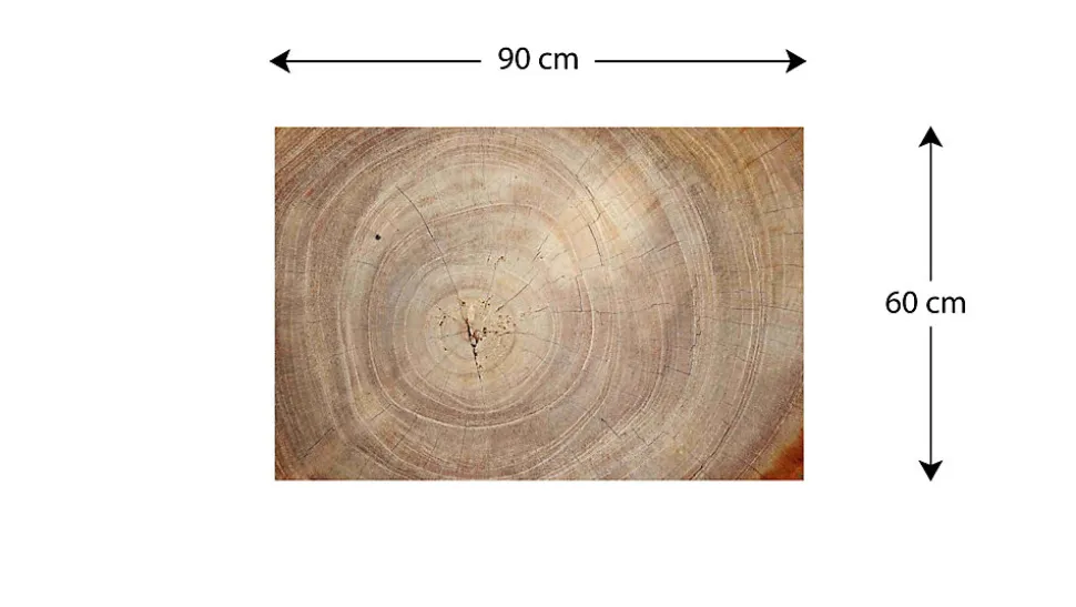 Tableau Magnétique en Métal Motif Tronc Cernes de Bois 90x60cm, MetalBoards pour tout type d'Aimants