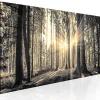 Tableau Rayon de soleil 150x50 cm
