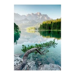 Tableau sur toile branche sur le lac 30x45 cm Fabriqué en France