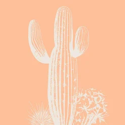 Tableau sur toile cactus sobre 90x90 cm Fabriqué en France
