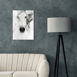 Tableau sur toile cheval blanc l.55 x H.75 cm Dada Art