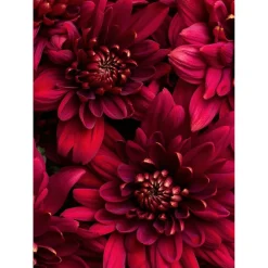 Tableau sur toile fleurs vives 30x45 cm Fabriqué en France