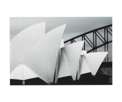 Tableau sur verre synthétique Sydney opéra Ceanothe L.97 x l.65 cm