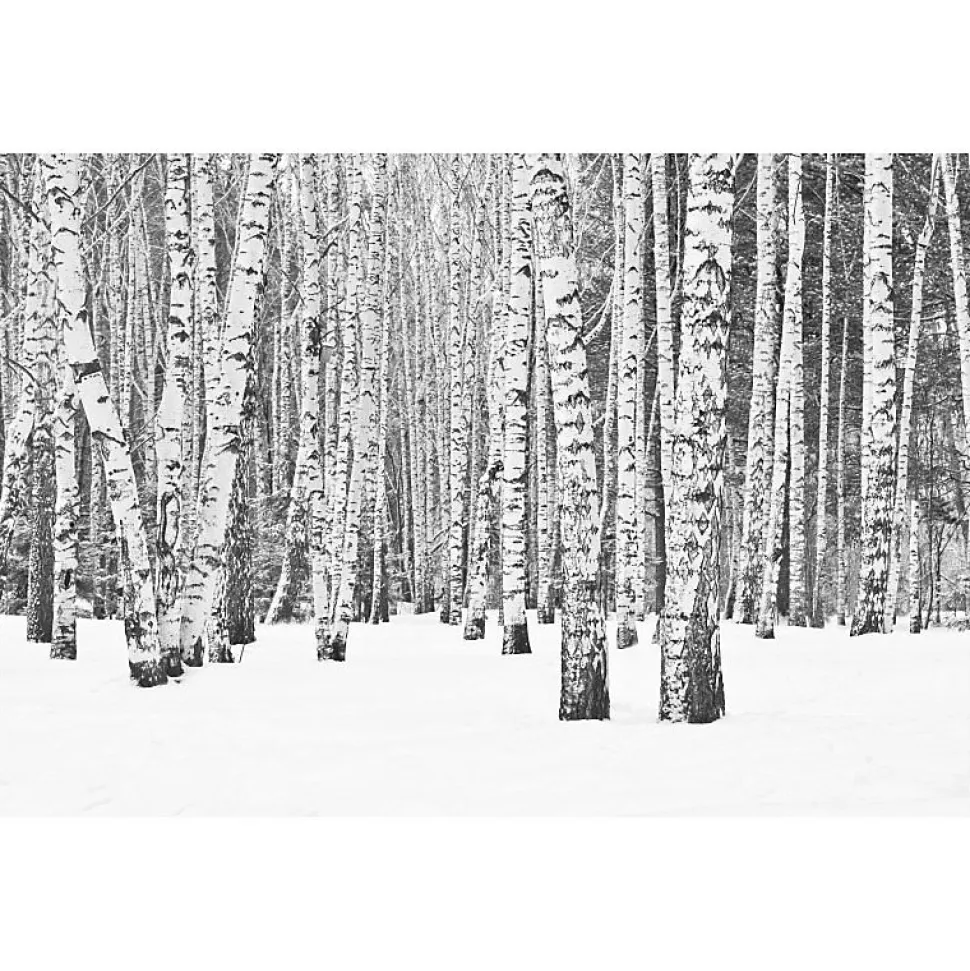 Tableau toile en kit BLACK AND WHITE FOREST 140 x 95 cm - Toile textile sans PVC, Made in France par Scenolia