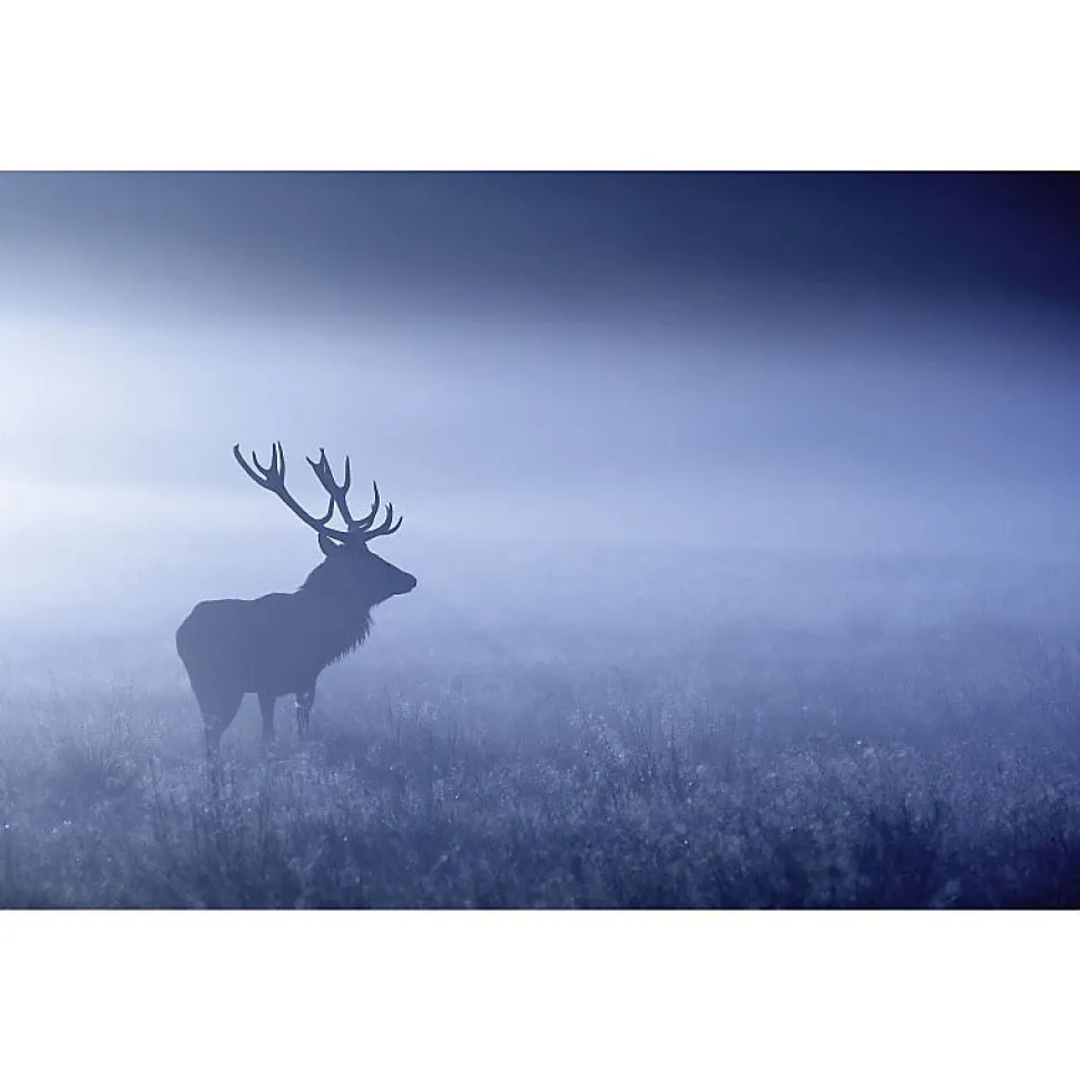 Tableau toile en kit BLUE MISTY DEER 140 x 95 cm - Toile textile sans PVC, Made in France par Scenolia