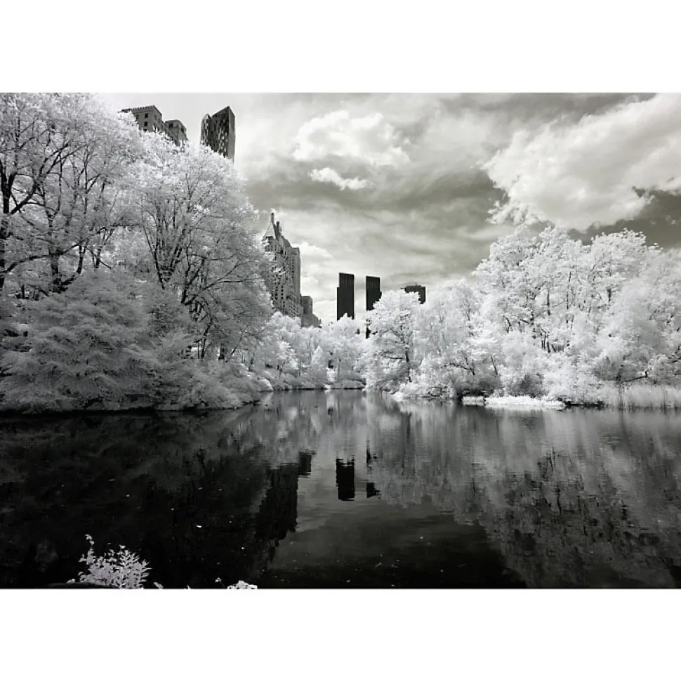 Tableau toile en kit CENTRAL PARK NB 180 x 130 cm - Toile textile sans PVC, Made in France par Scenolia