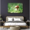Tableau toile en kit CEPE OU BOLET 140 x 95 cm - Toile textile sans PVC, Made in France par Scenolia