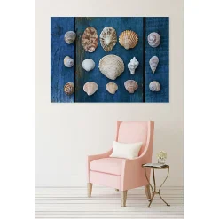 Tableau toile en kit COLLECTION DE COQUILLAGES 180 x 130 cm - Toile textile sans PVC, Made in France par Scenolia