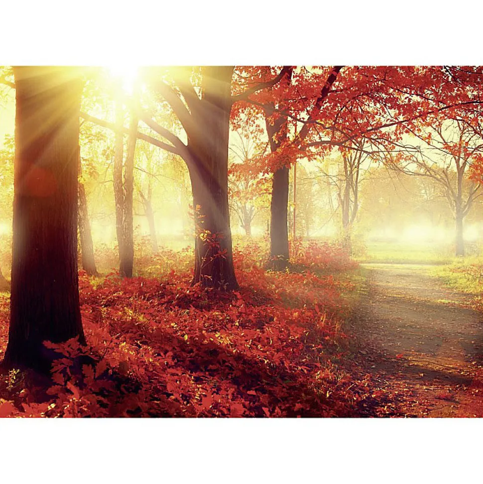 Tableau toile en kit SOLEIL D'AUTOMNE 180 x 130 cm - Toile textile sans PVC, Made in France par Scenolia