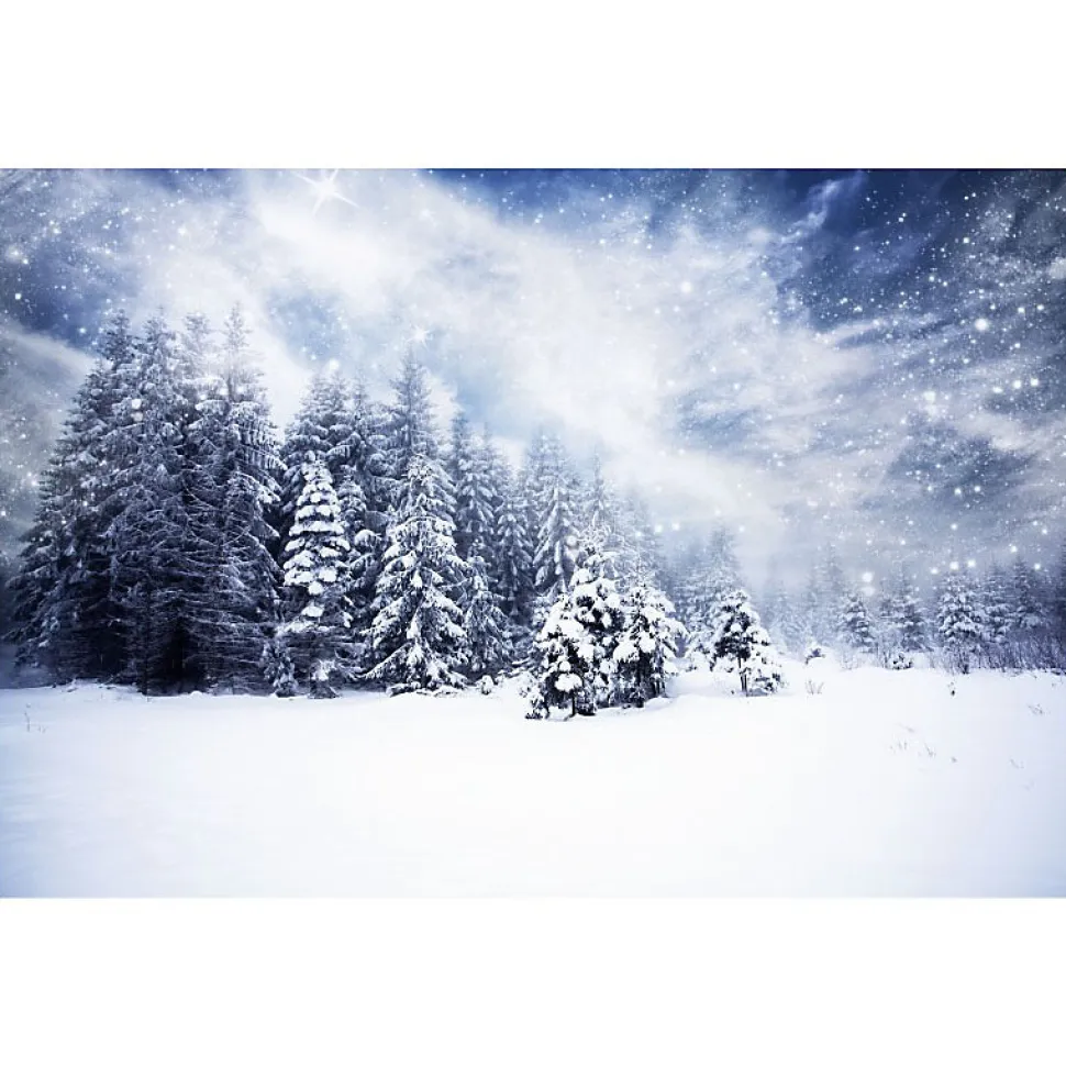 Tableau toile en kit SOUS LA NEIGE 140 x 95 cm - Toile textile sans PVC, Made in France par Scenolia