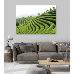 Tableau toile en kit THÉ VERT 180 x 130 cm - Toile textile sans PVC, Made in France par Scenolia