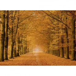 Tableau toile XXL en kit Allee Cavaliere 130 x 90 cm - Toile textile sans PVC