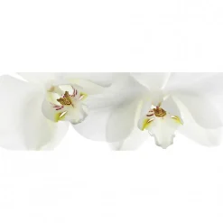 Tableau toile XXL en kit Orchidee 180 x 60 cm - Toile textile sans PVC