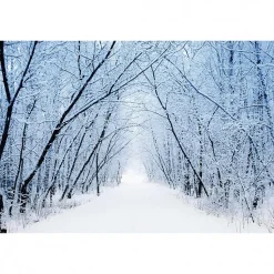 Tableau toile XXL en kit Chemin Blanc 60 x 40 cm - Toile textile sans PVC