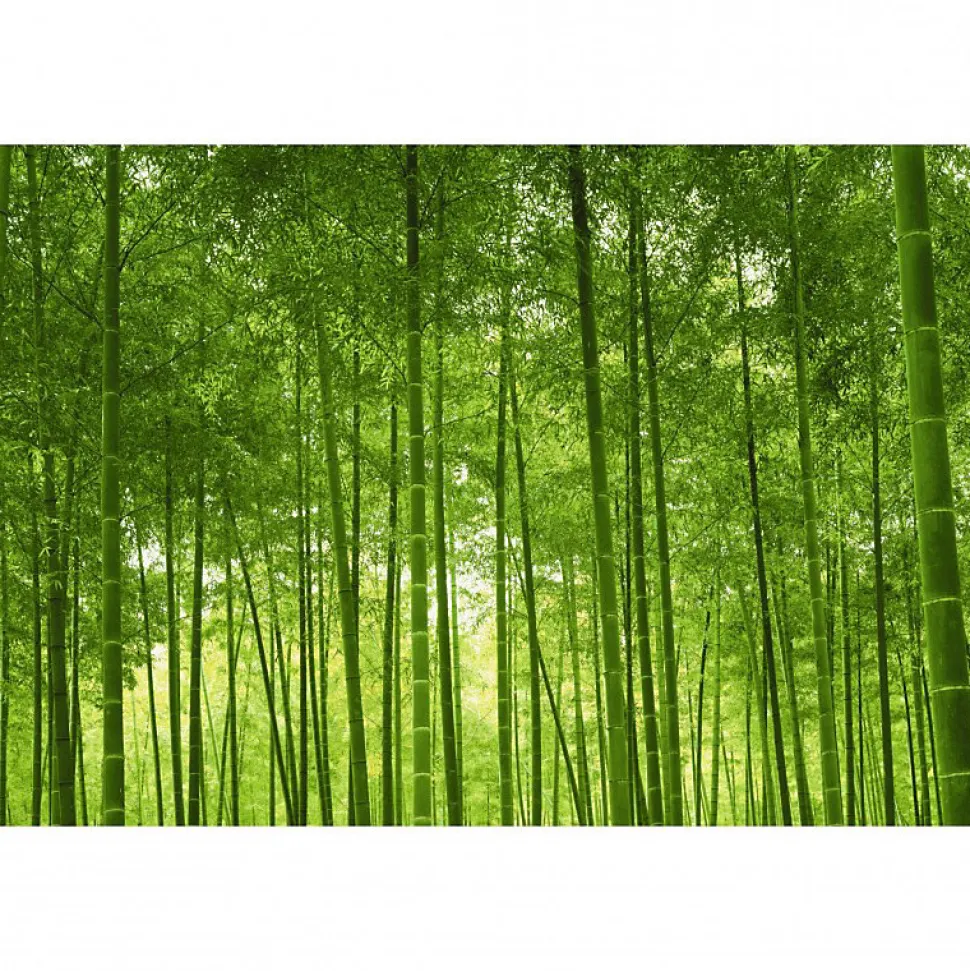 Tableau toile XXL en kit Foret De Bambous 90 x 60 cm - Toile textile sans PVC