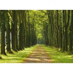 Tableau toile XXL en kit Un Dimanche À La Campagne 130 x 90 cm - Toile textile sans PVC