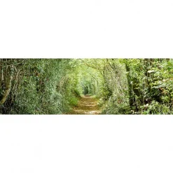 Tableau toile XXL en kit Chemin Vert 130 x 40 cm - Toile textile sans PVC