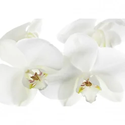 Tableau toile XXL en kit Orchidee 60 x 40 cm - Toile textile sans PVC