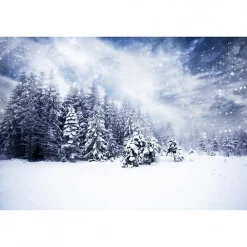 Tableau toile XXL en kit Sous La Neige 60 x 40 cm - Toile textile sans PVC