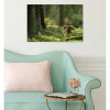 Tableau toile XXL en kit Champignon Des Bois 60 x 40 cm - Toile textile sans PVC