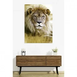 Tableau toile XXL en kit Lion 130 x 180 cm - Toile textile sans PVC