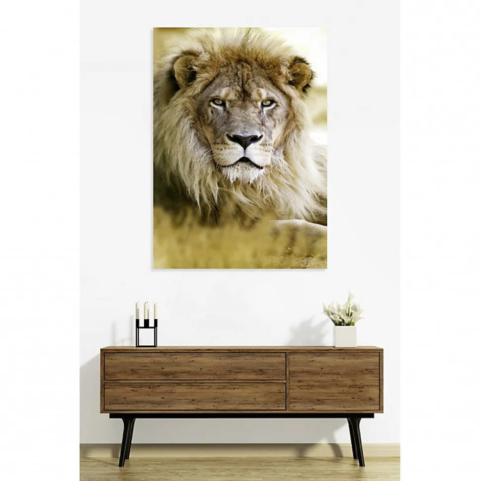 Tableau toile XXL en kit Lion 130 x 180 cm - Toile textile sans PVC