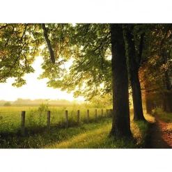 Tableau toile XXL en kit Lisiere 130 x 90 cm - Toile textile sans PVC
