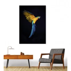 Tableau verre acrylique Vol De Perroquet 90 x 130 cm - Décoration murale photo pour la maison