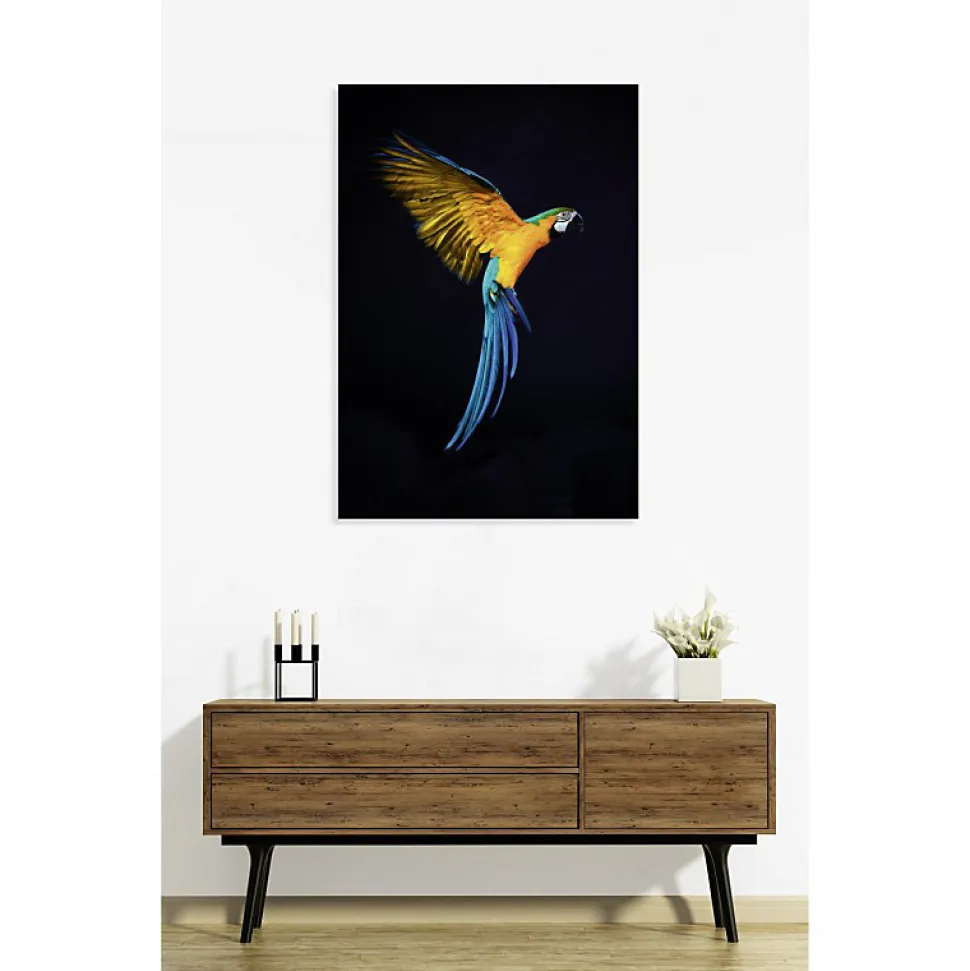 Tableau verre acrylique Vol De Perroquet 90 x 130 cm - Décoration murale photo pour la maison