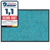 Tapis de Porte Paillasson d'entrée Rhine Turquoise 40 x 60 cm