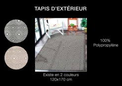 Tapis d'extérieur tissé imprimé losanges taupe L.170 x l.120cm Dylrev