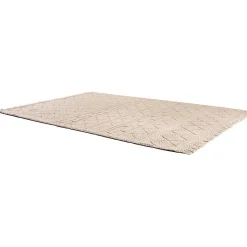 Tapis extérieur en PET Soan neige 170x120 cm