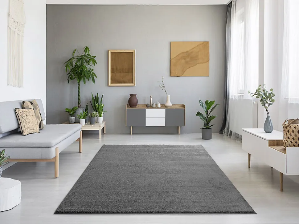 Tapis intérieur ATTICGO gris rectangulaire uni 120x170 cm MONTANA