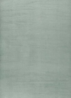 Tapis lavable antidérapant ATTICGO vert rectangulaire uni 120x170 cm LOFT
