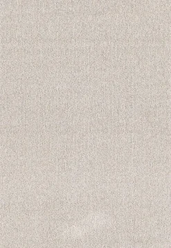 Tapis moderne uni anti-salissures, Beige, 200 x 290 cm - NATAL