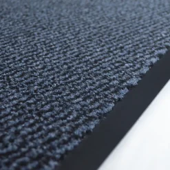 Tapis paillasson pour porte d'entrée - Bleu - 80 x 120 cm