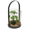 Terrarium Wilo 11x10cm- Vert trèfle- Atmosphera
