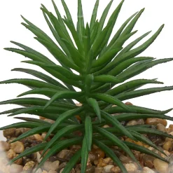 Terrarium Wilo 11x10cm- Vert trèfle- Atmosphera