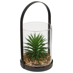 Terrarium Wilo 11x10cm- Vert trèfle- Atmosphera