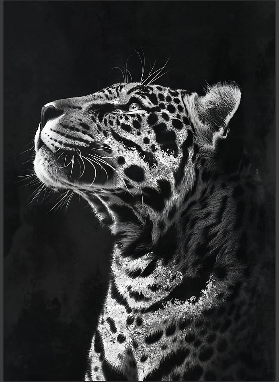 Toile encadrée léopard de profil noir et blanc, brillant, cadre noir 50 x 70cm Dada Art