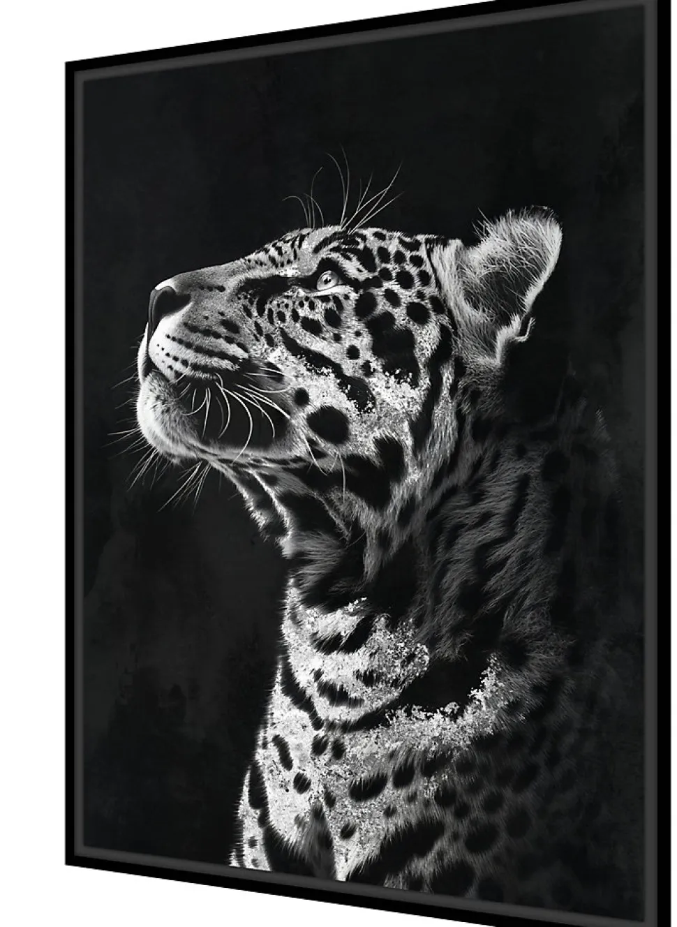 Toile encadrée léopard de profil noir et blanc, brillant, cadre noir 50 x 70cm Dada Art