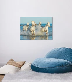 Toile imprimée chevaux au gaop l.60 x H.90 cm