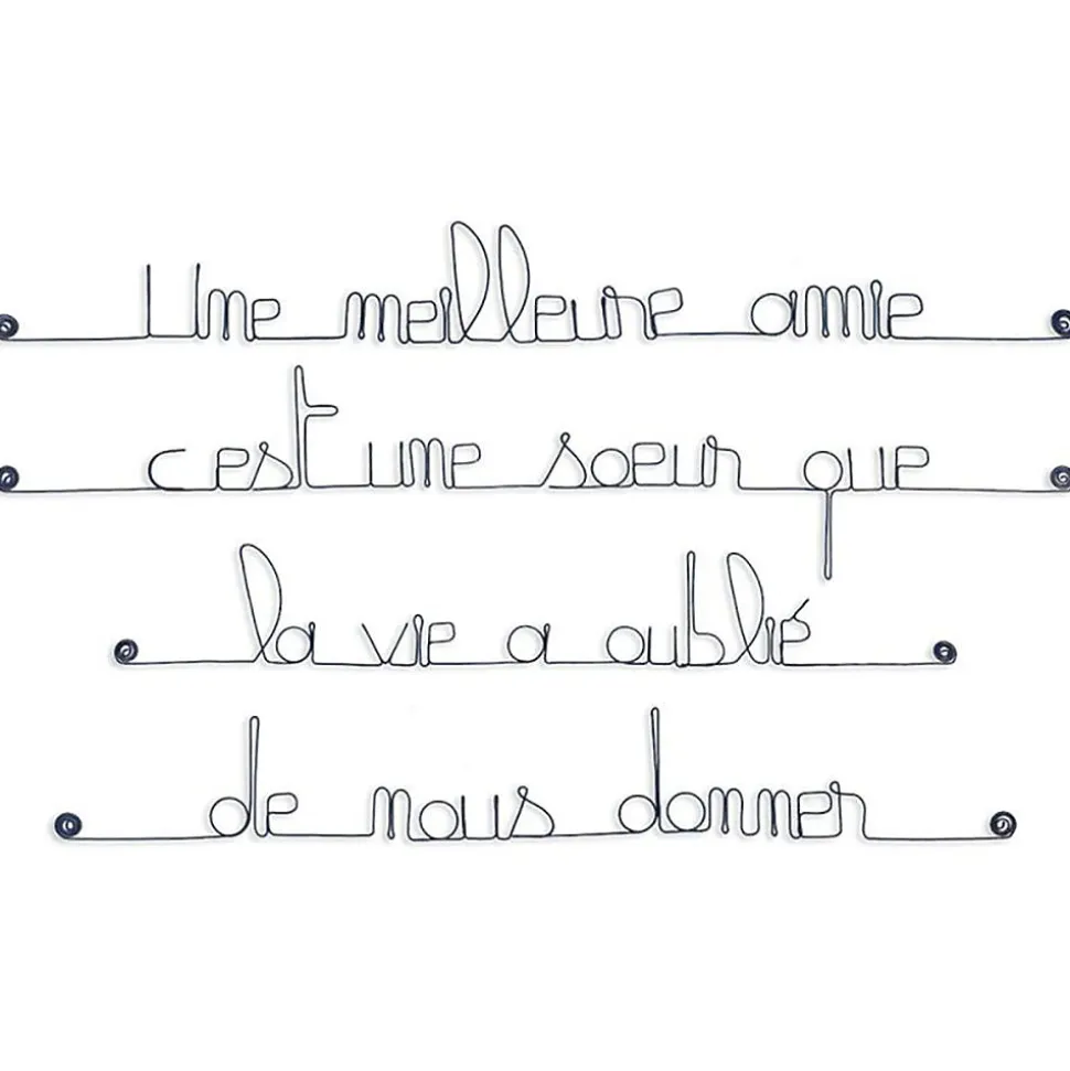 Une meilleure amie c'est une sœur que la vie a oublié de nous donner - Sculpture fil de fer 60-75 cm - Bijoux de mur