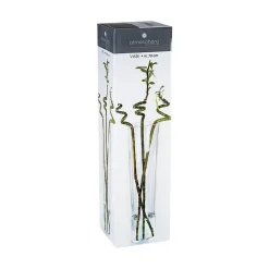 Vase conique - verre - H70 cm - Atmosphera