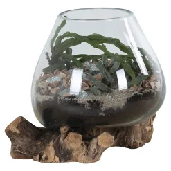 Vase sur socle bois en verre transparent 18x20 cm