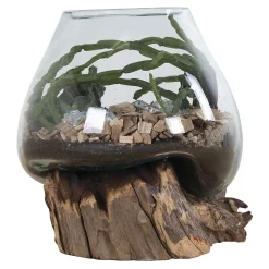 Vase sur socle bois en verre transparent 18x20 cm
